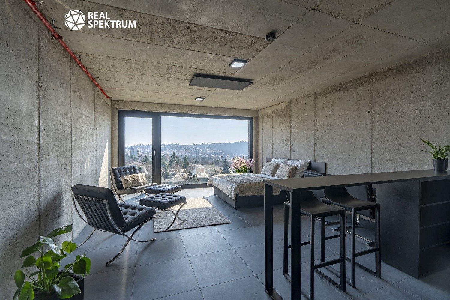 Pronájem byt 1+kk - Královopolská, Brno - Žabovřesky, 35 m² - 5