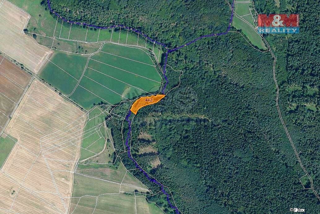 Les · Borotice, okres Příbram, Středočeský kraj - 4