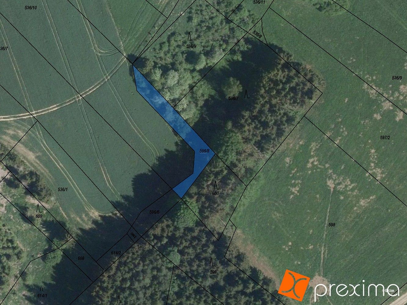 Prodej les - Mezilesí, okres Pelhřimov, Kraj Vysočina - 1