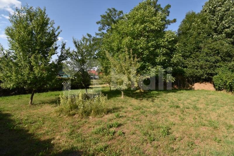 Prodej zahrada - Mikulovice, 330 m²