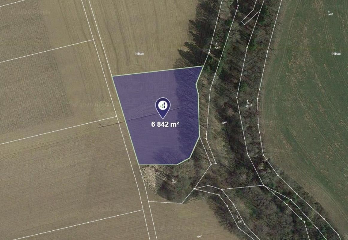 Zemědělské pozemky, Šebířov, 2 281 m² - 1