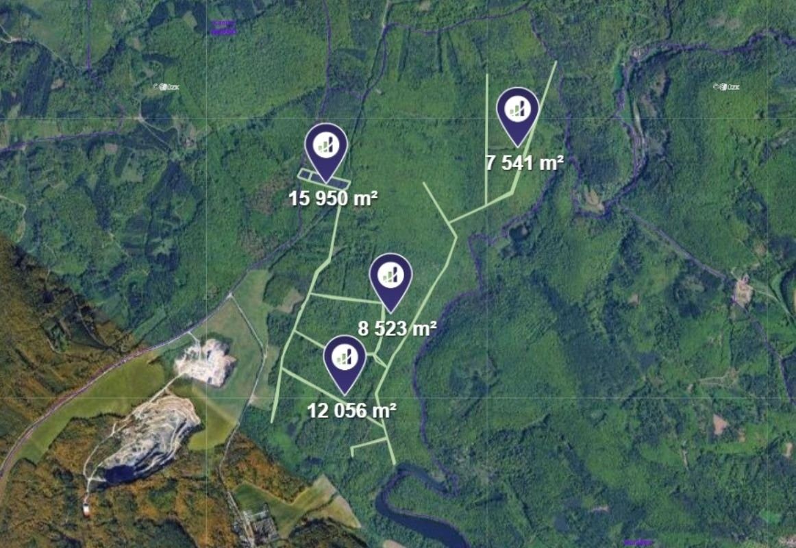 Prodej les - Brno, 8 008 m²