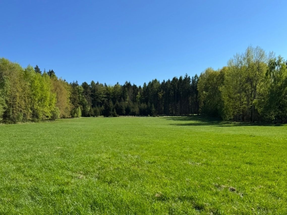 Pozemek pro bydlení, 16 750 m²