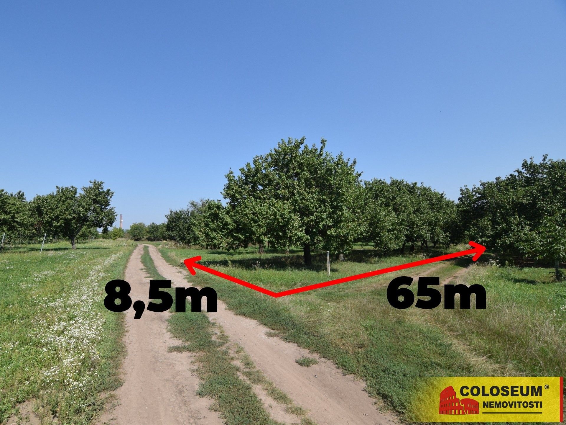 Prodej pozemek pro bydlení - Velké Pavlovice