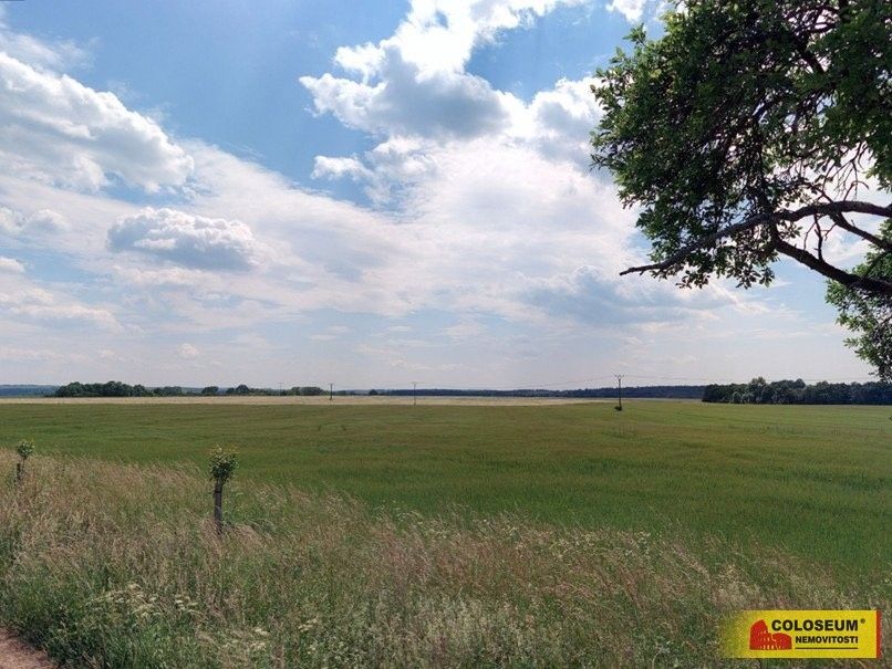 Zemědělské pozemky, Sloup