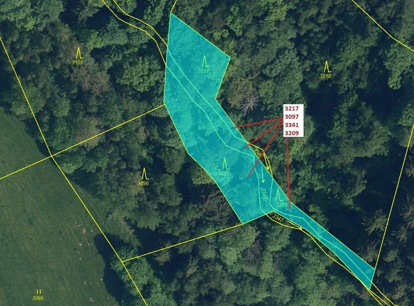Prodej les - Příkrý, okres Semily, Liberecký kraj - 2
