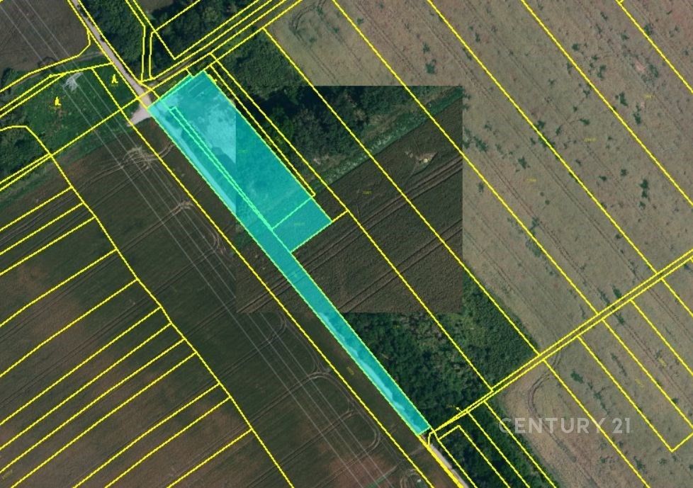 Zemědělské pozemky, Hrušky