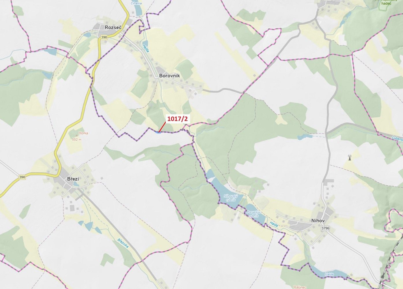 Ostatní, Borovník, okres Brno-venkov, Jihomoravský kraj - 1