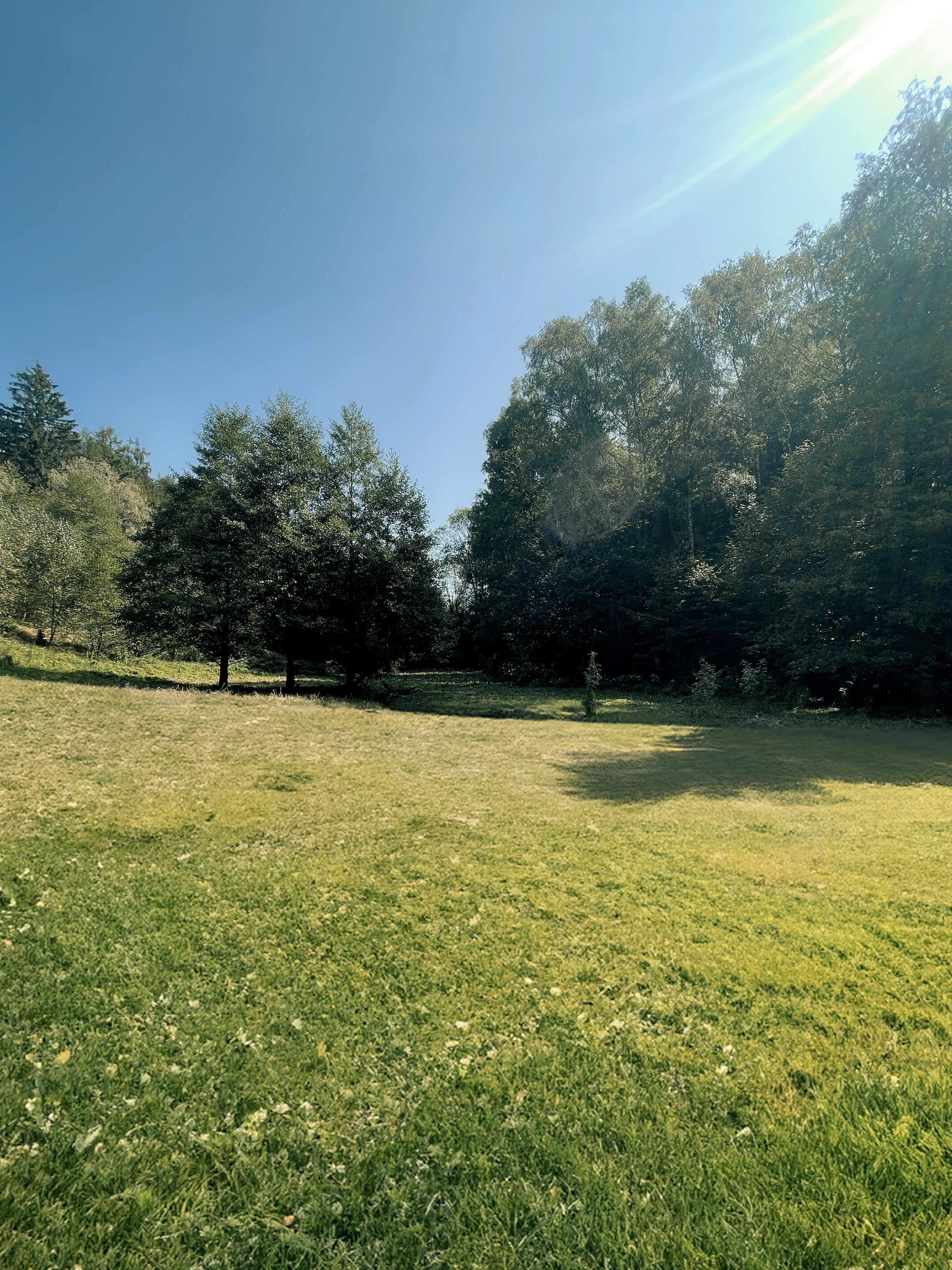 Prodej zahrada - Výprachtice, 6 838 m²