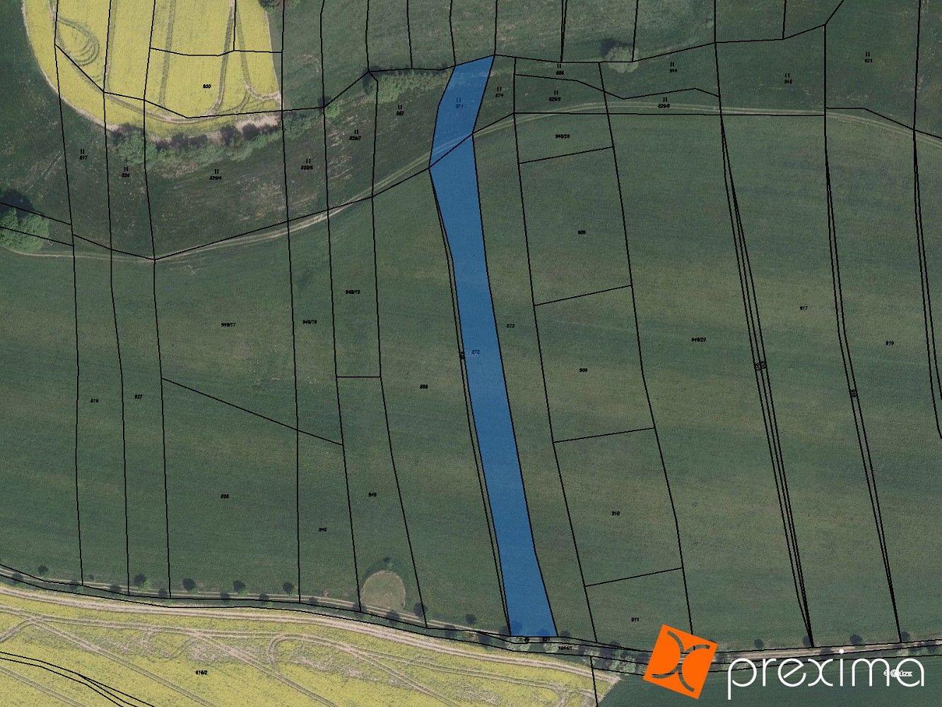 Prodej zemědělský pozemek - Řečice, okres Žďár nad Sázavou, Kraj Vysočina - 1