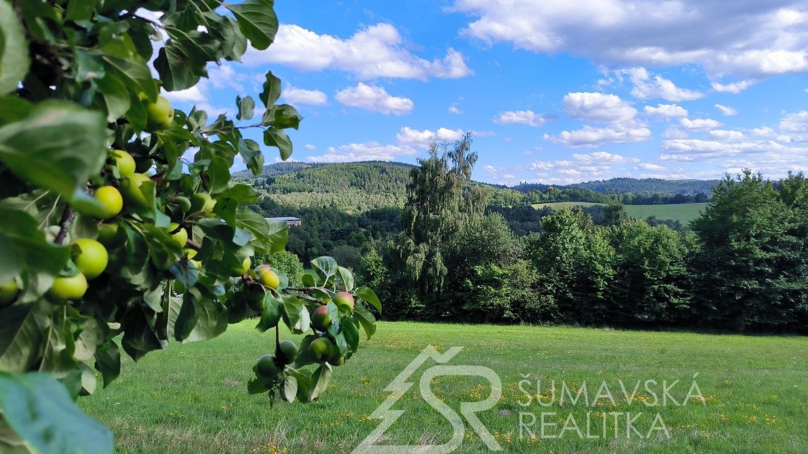 Prodej pozemek pro bydlení - Záluží, Sušice, 3 500 m²