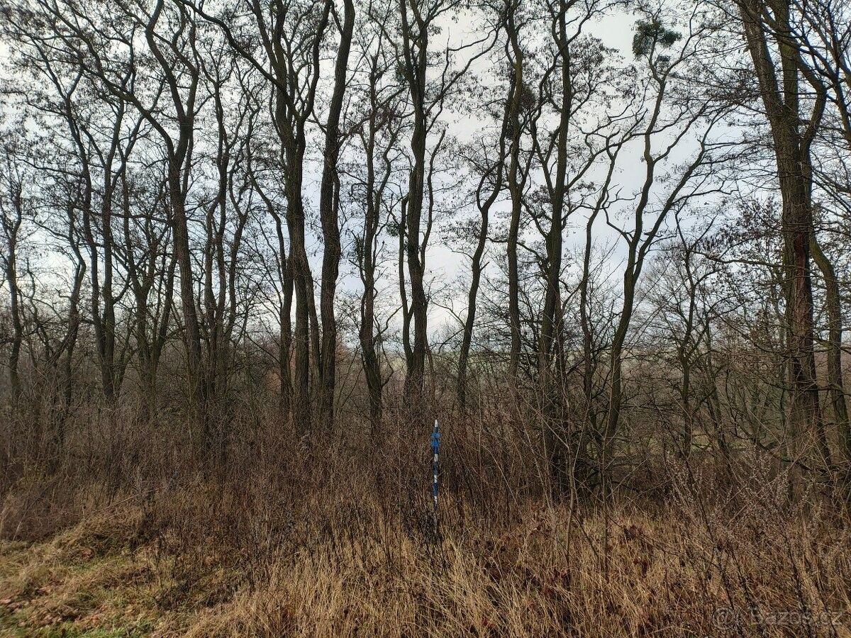 Pozemky pro bydlení, Holešov, 769 01