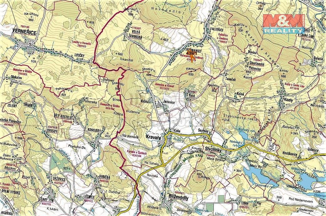 Les · Žandov, okres Česká Lípa, Liberecký kraj - 3