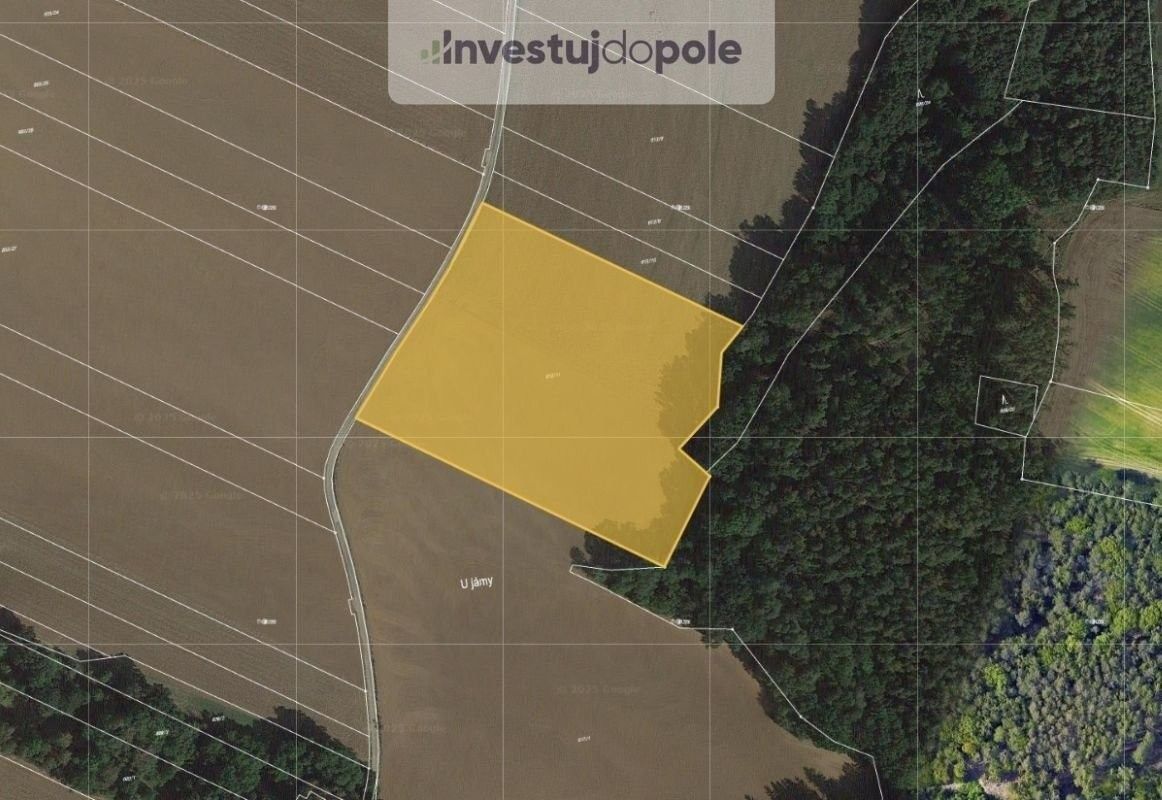 Zemědělské pozemky, Plzeň, 3 545 m²