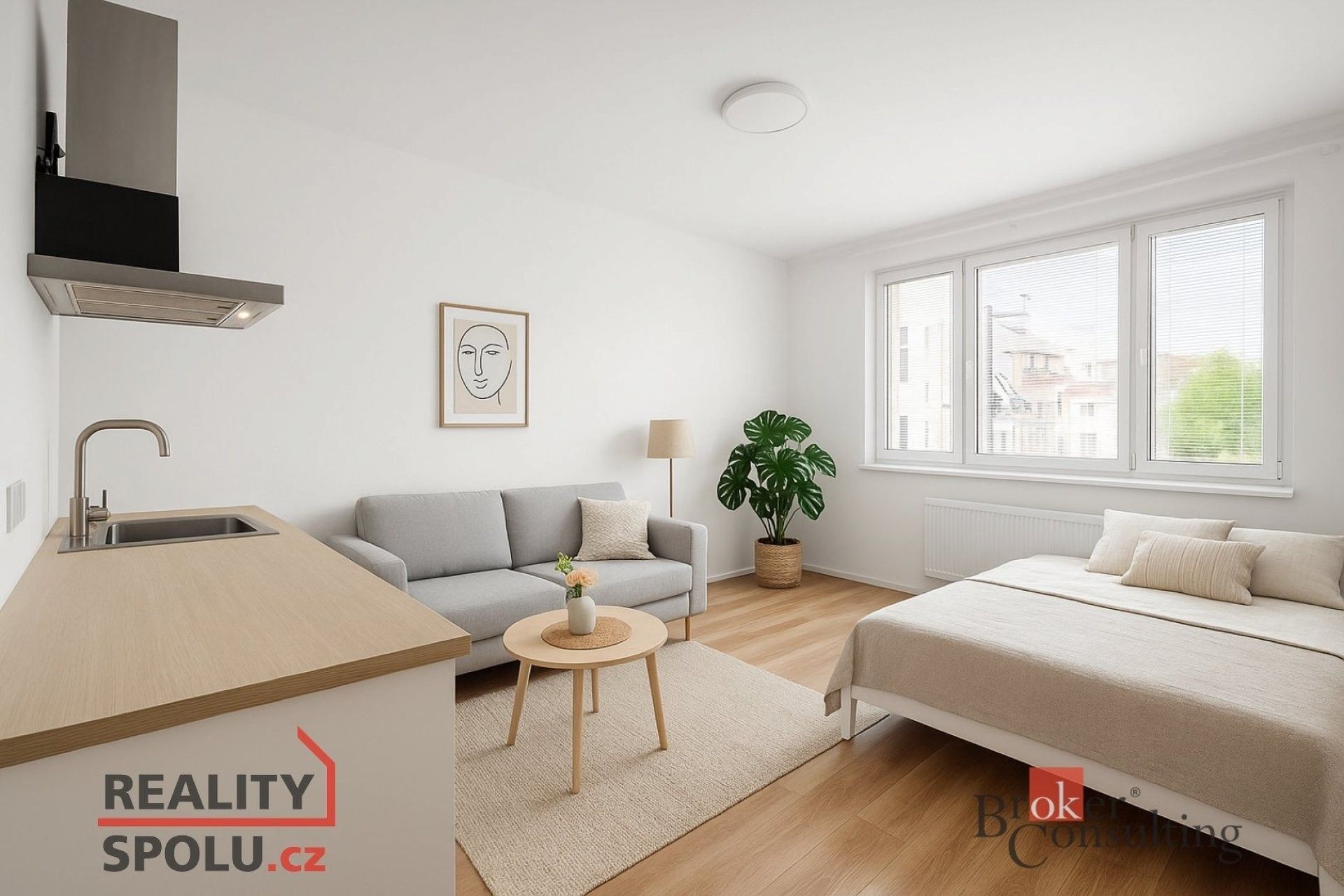 1+kk, Vranovská, Brno, 35 m²