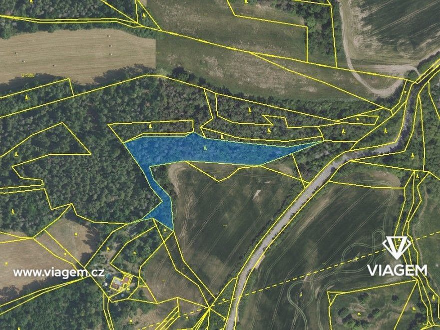 Prodej les - Čím, okres Příbram, Středočeský kraj - 2