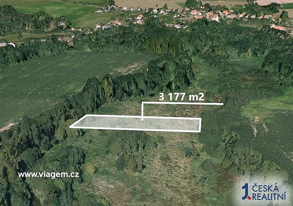 Prodej zemědělský pozemek - Ždírec, okres Plzeň-jih, Plzeňský kraj - 2