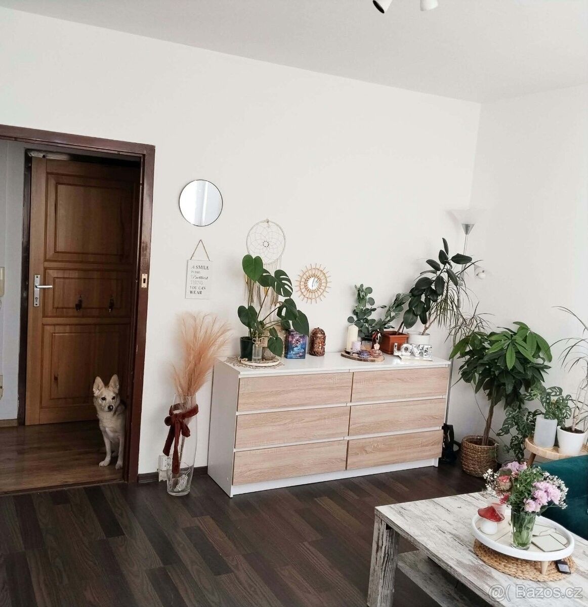 Byt · 42 m² · Nový Jičín, 741 01 - 4