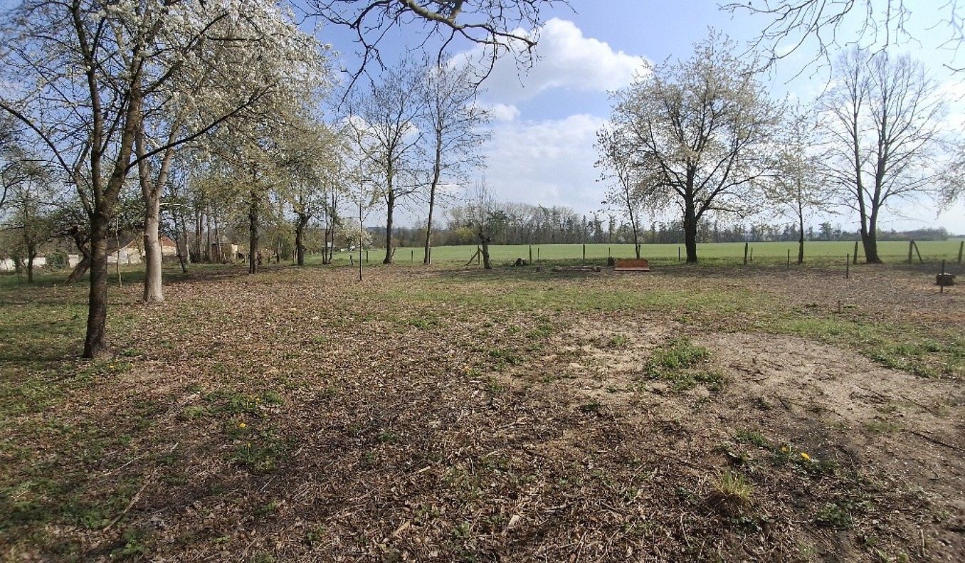 Pozemek pro bydlení · Jenišovice, okres Chrudim, Pardubický kraj - 3