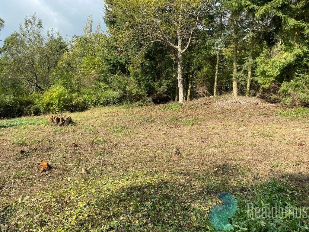 Pozemky pro bydlení, Nová Ves pod Pleší, 680 m²