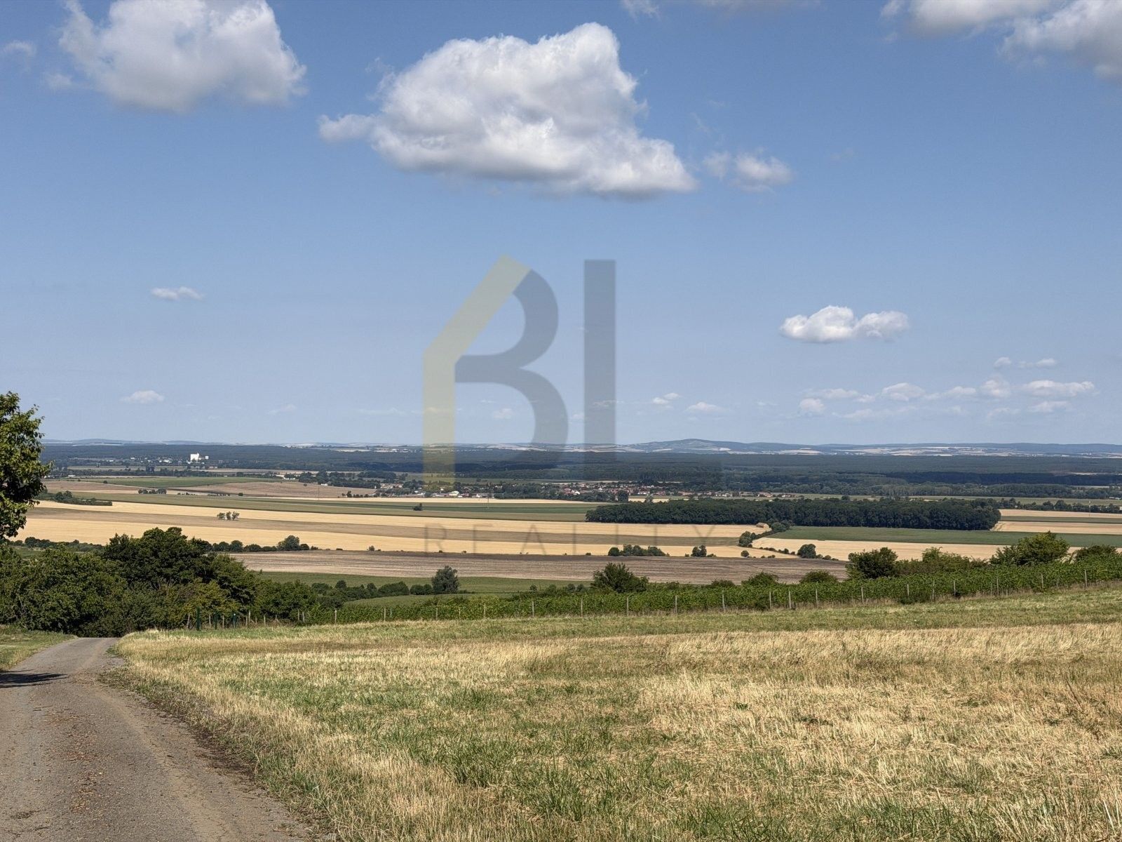 Zahrada · 3 867 m² · Veselská, Strážnice - 3
