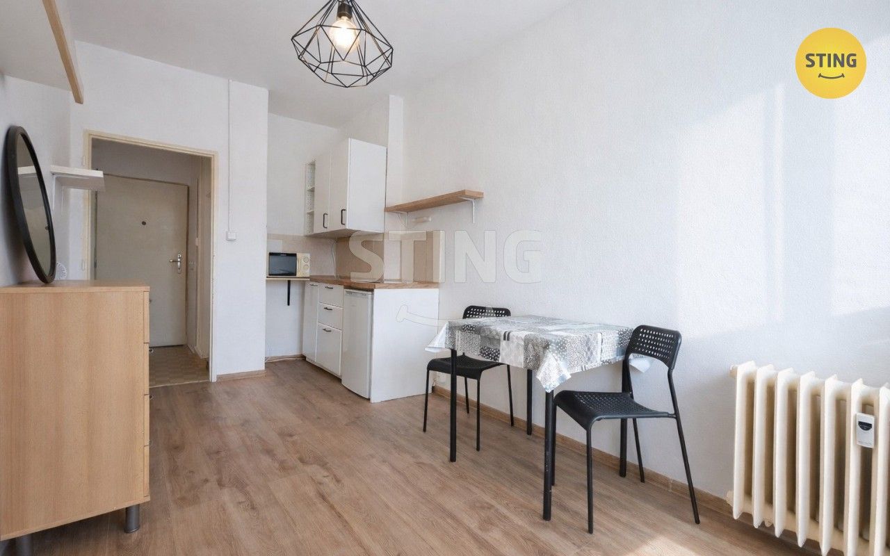 Ostatní, Lidická, Třinec, 19 m²