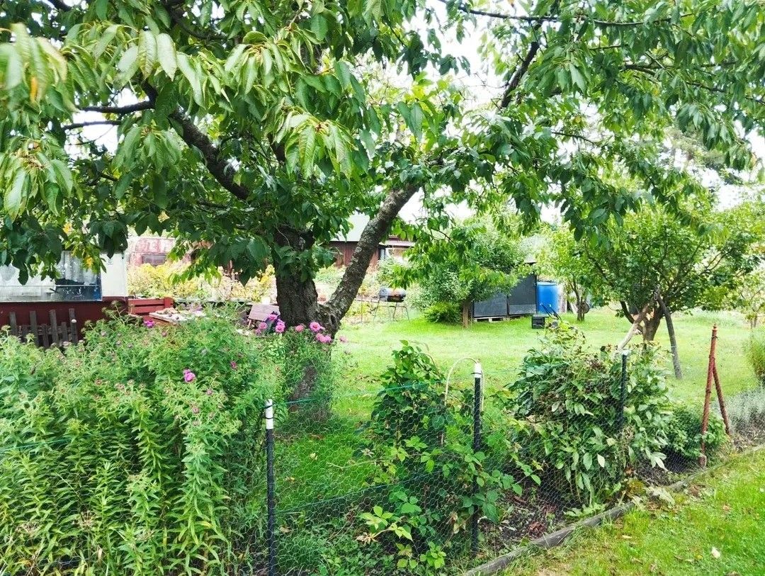 Zahrady, Varnsdorf, 407 47