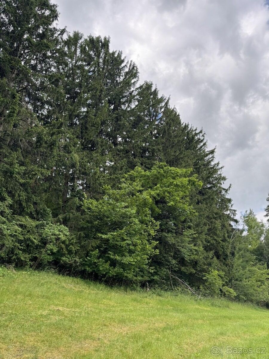 Pozemky pro bydlení, Český Dub, 463 43