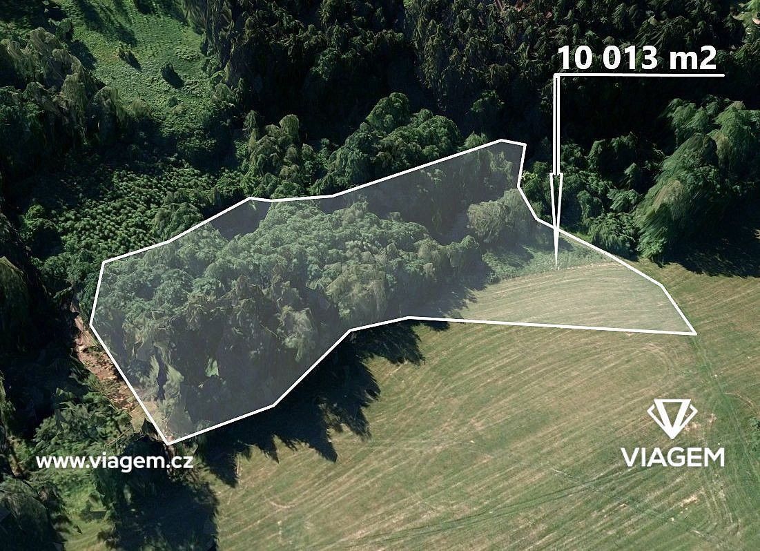 Les, 2 503 m²