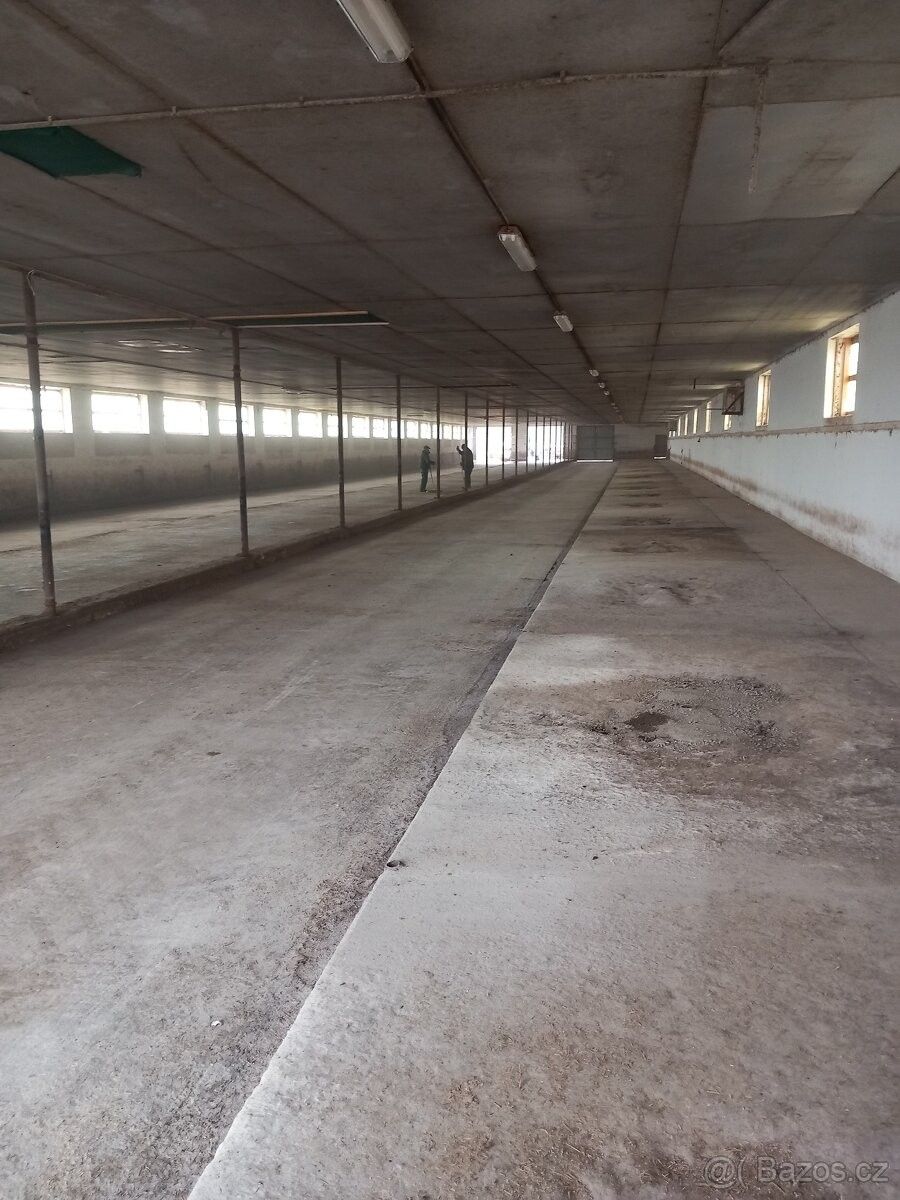 Sklady, Opařany, 391 61