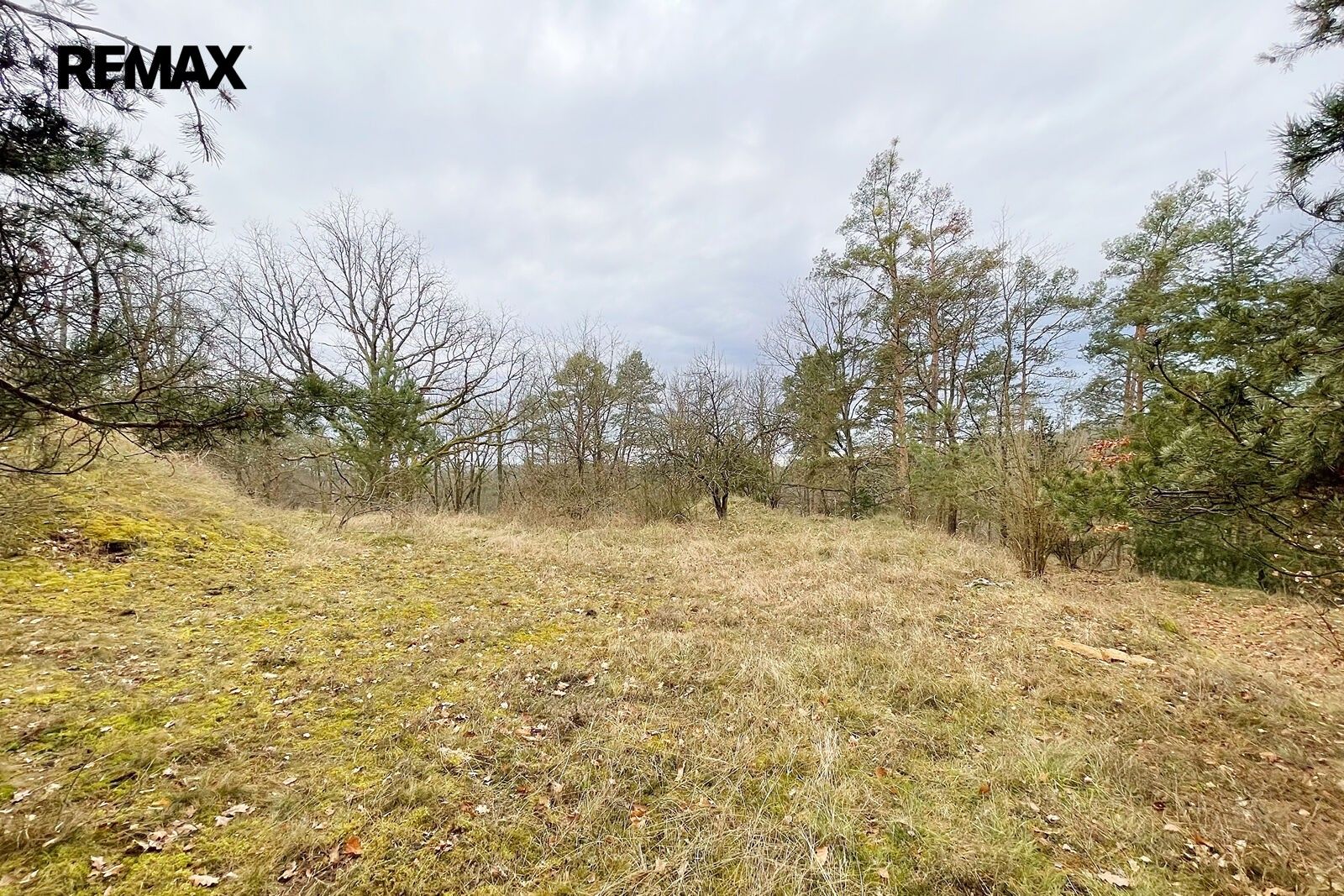 Komerční pozemky, Zvíkovské Podhradí, 2 467 m² - 2