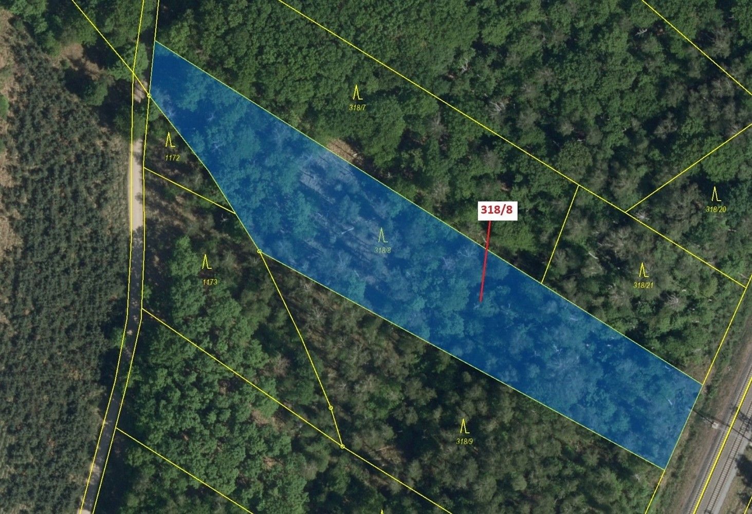 Prodej les - Čeperka, okres Pardubice, Pardubický kraj - 2