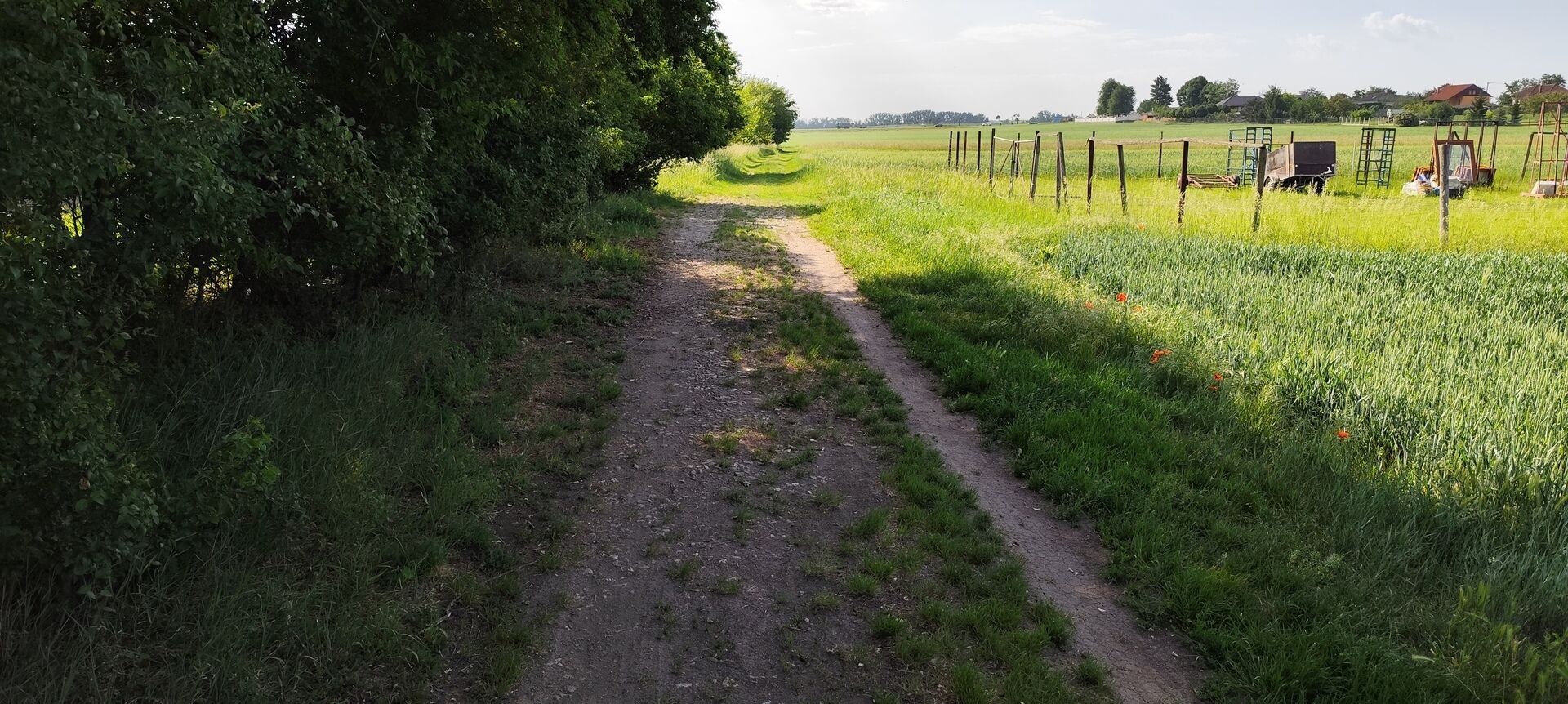 Pozemek pro bydlení · 6 890 m² · Branišovice - 4