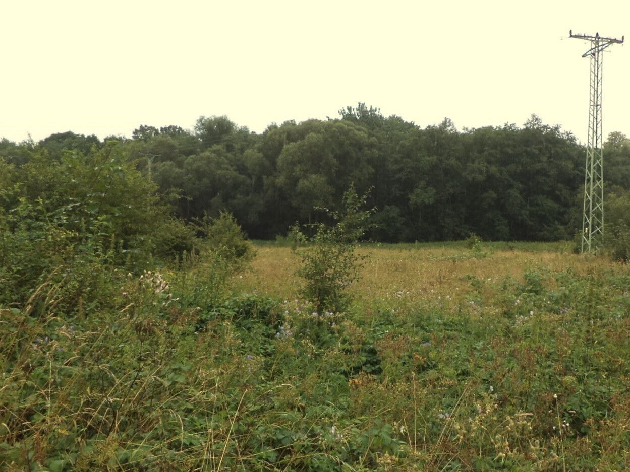 Zemědělský pozemek · 28 977 m² · Meziměstí - 4
