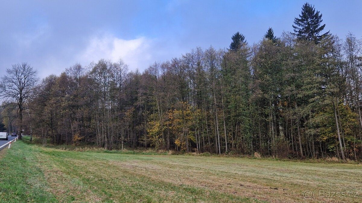 Pozemky pro bydlení, Chrastava, 463 31