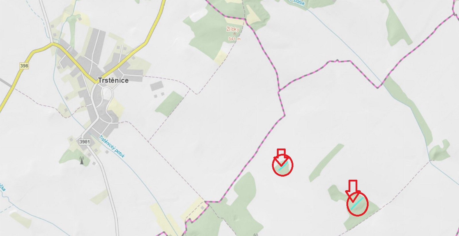 Les · Skalice - Horní Bříza, okres Znojmo, Jihomoravský kraj - 4