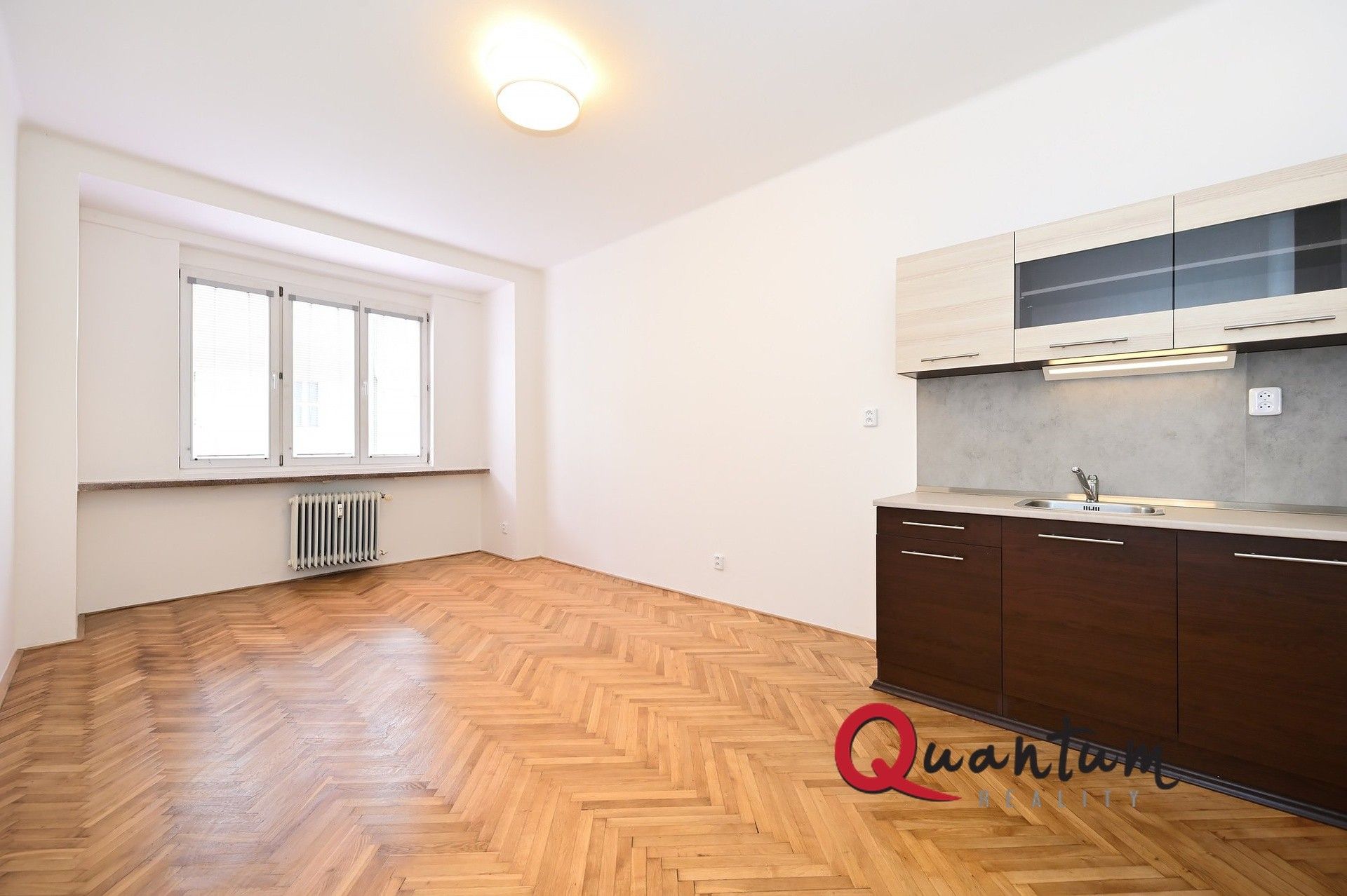 1+kk, Baranova, Praha Žižkov, 29 m² - 1