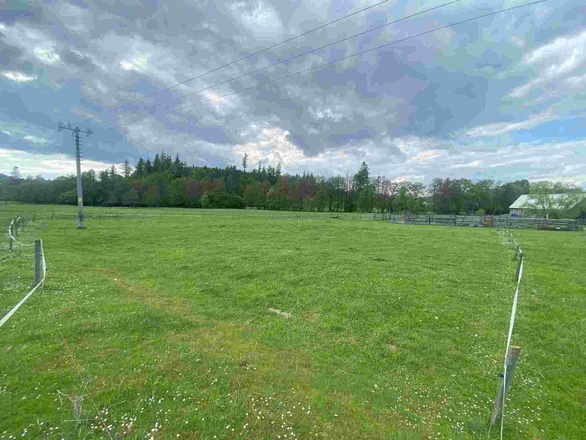 Prodej pozemek - Vajglov, Břidličná, 315 m²