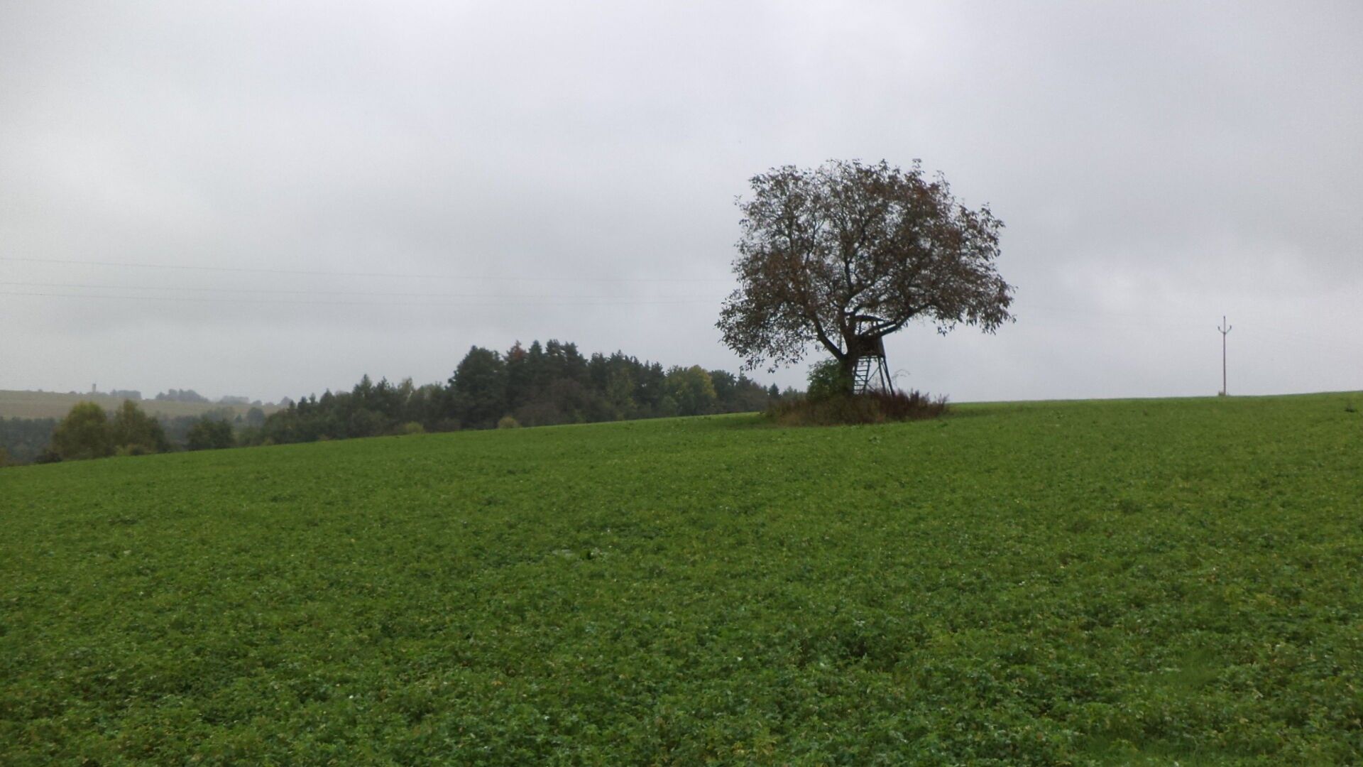 Ostatní, Nové Hrady, 2 m²