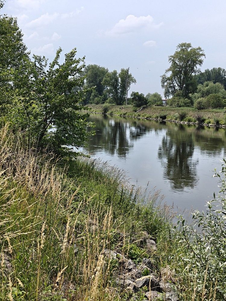Prodej zahrada - Zálezlice, okres Mělník - 5