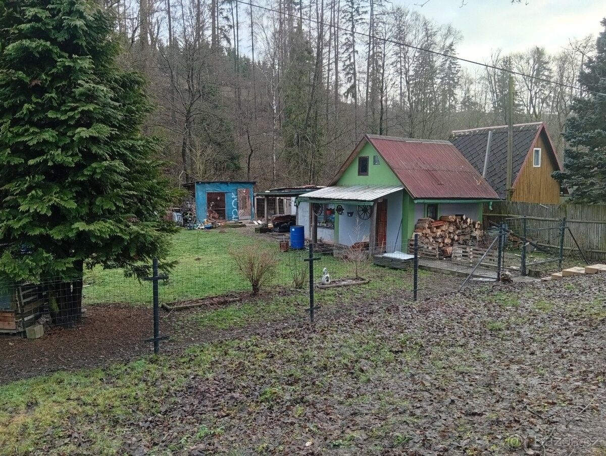 Prodej chata - Dvorce u Bruntálu, 793 68