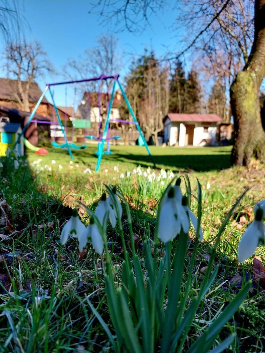 Chata · Chlum u Zbýšova, Středočeský kraj - 3