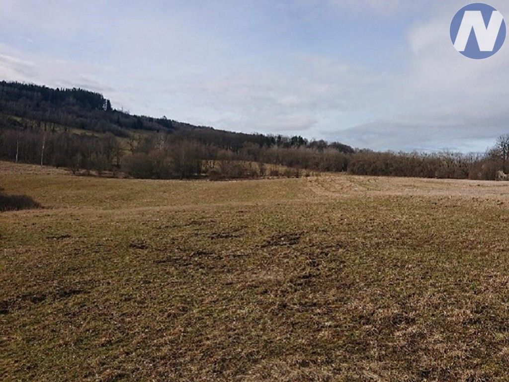 Pozemek · 2 556 m² · Český Krumlov - 4