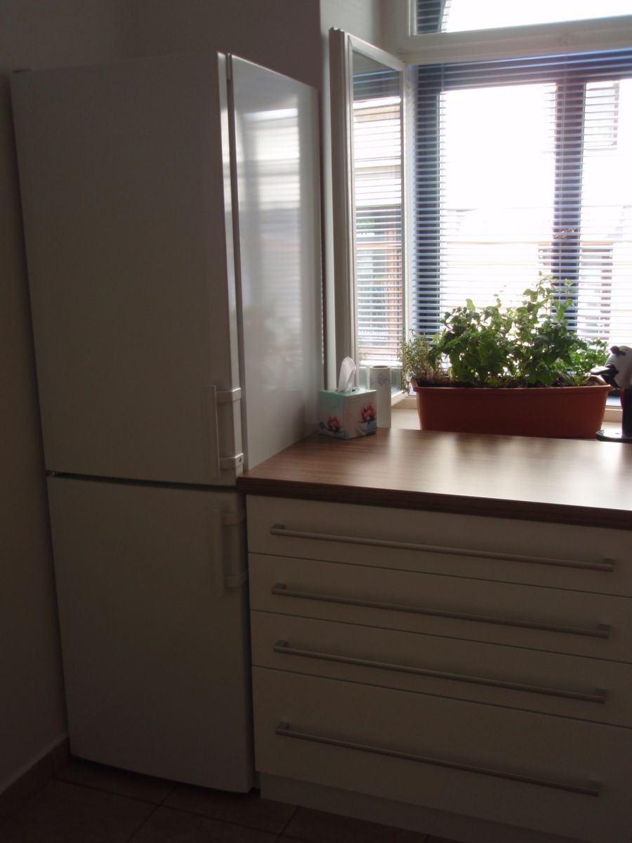 Pronájem byt 2+1 - Roháčova, Praha - Žižkov, 46 m² - 5