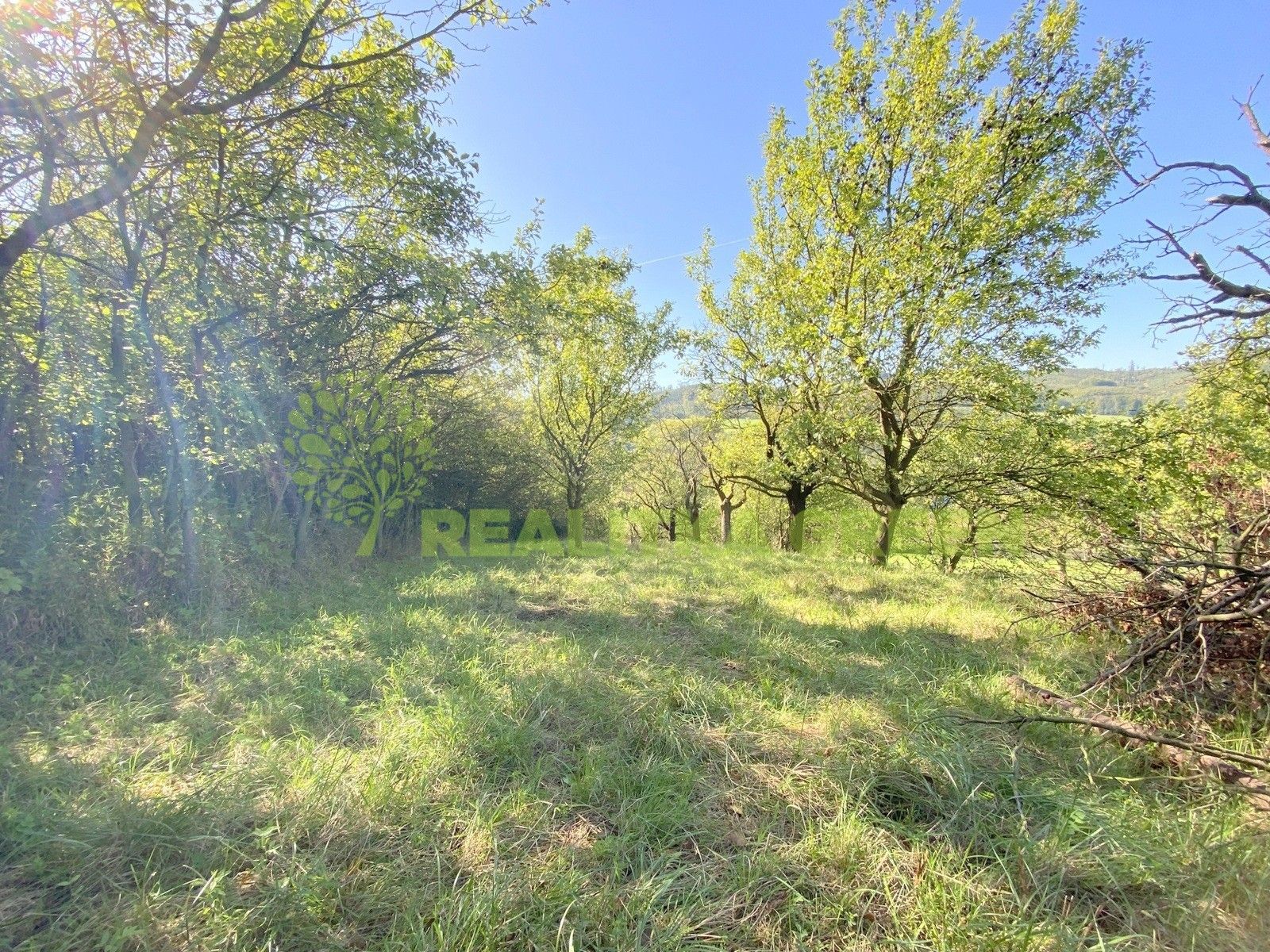 Pronájem louka - Podolí, 938 m²