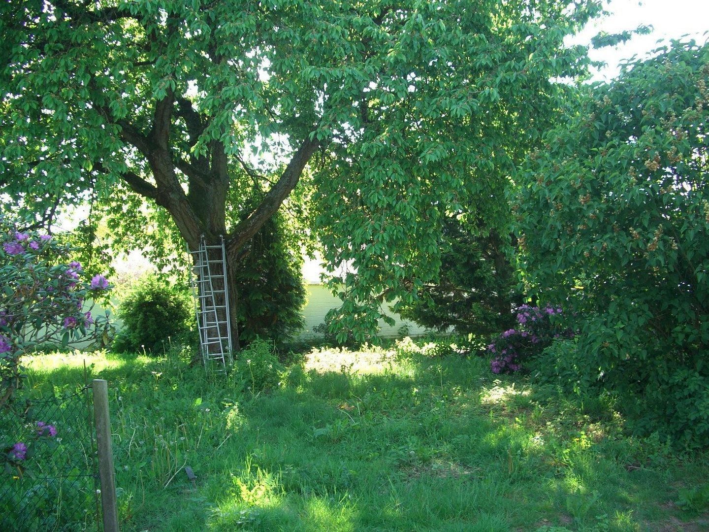 Prodej rodinný dům - , Hessen, 180 m² - 5