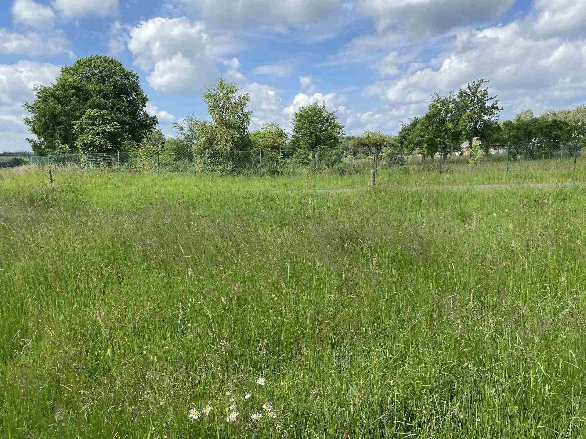 Pozemek pro bydlení · 1 400 m² · Planá Pavlovice - 4