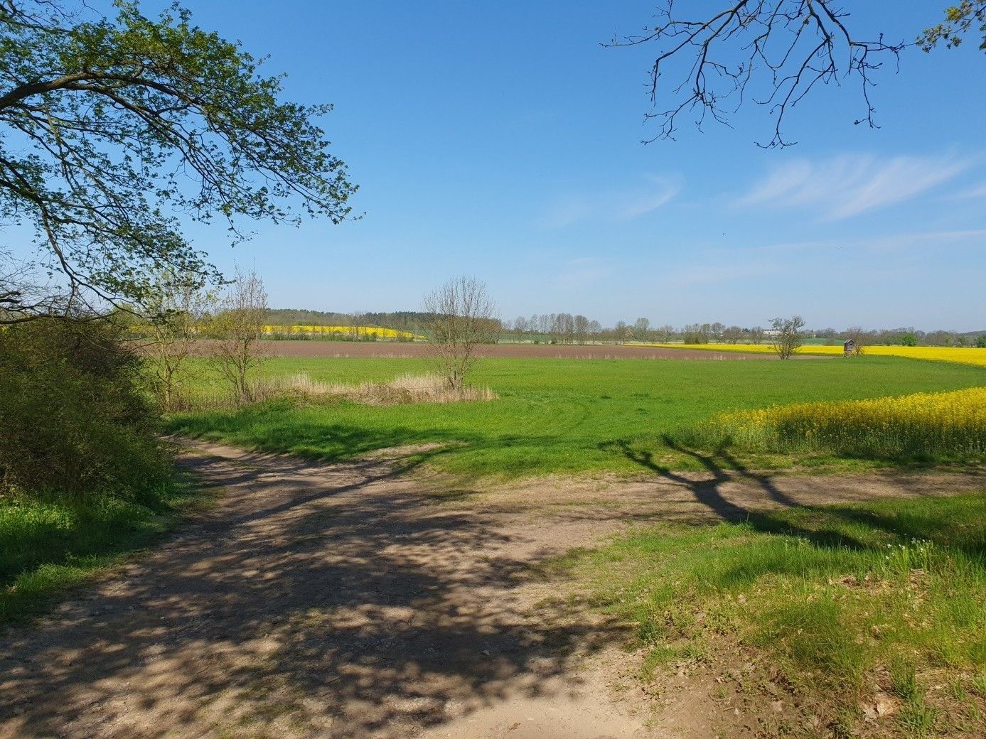 Pozemky pro bydlení, Mlékosrby - Mlékosrby, Královéhradecký kraj - 2