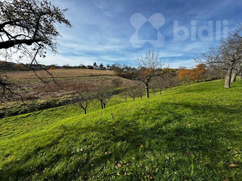Prodej zahrada - Bezuchov