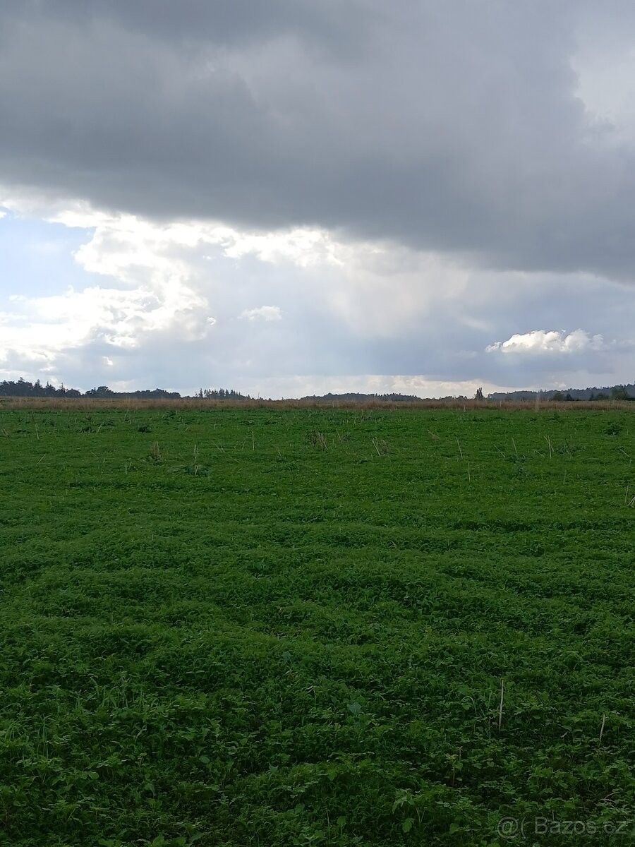 Prodej pozemek pro bydlení - Klimkovice, 742 85